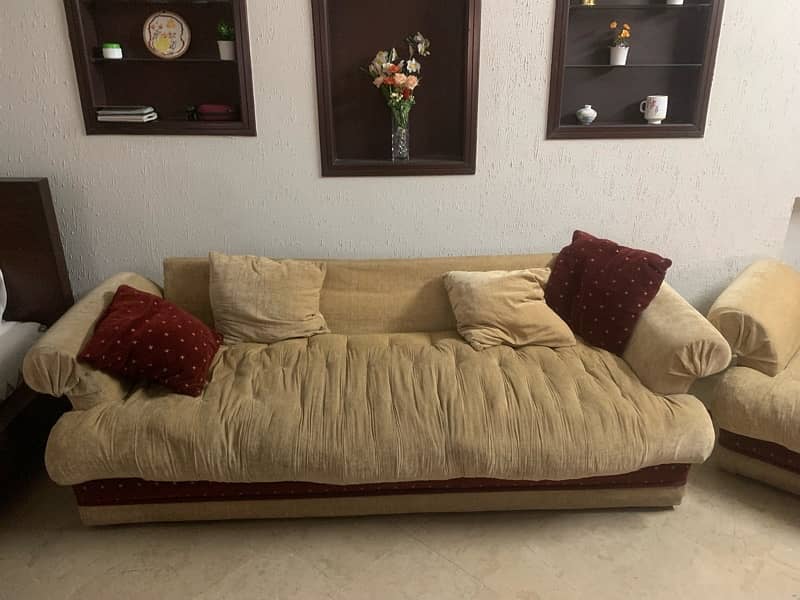 5 Seater Sofa set with 9 cushions 3