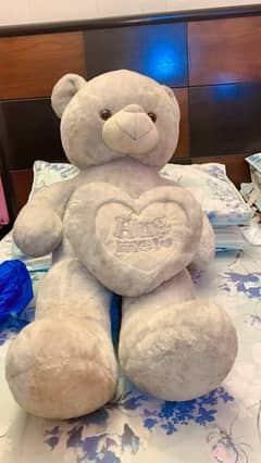Medium Size Grey Teddy bear