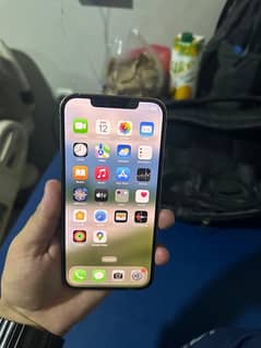I phone 12 Pro Max PTA Approved