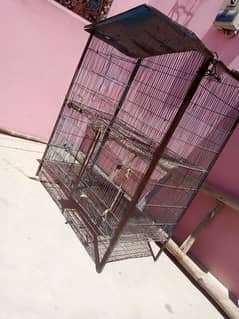 Used Pinjra For Chicken Parrot & Pigeon