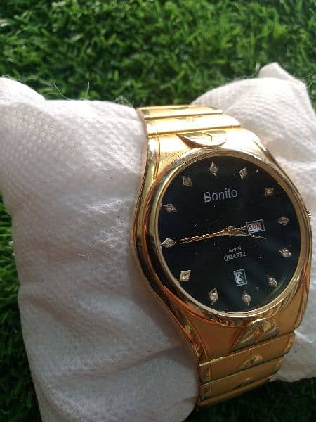 Bonito Watch 2