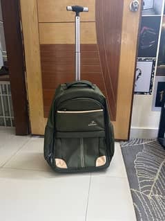 Green Hand Bag / Luggage / Hand Carry