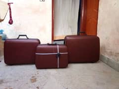 suite case contact number 03128691487