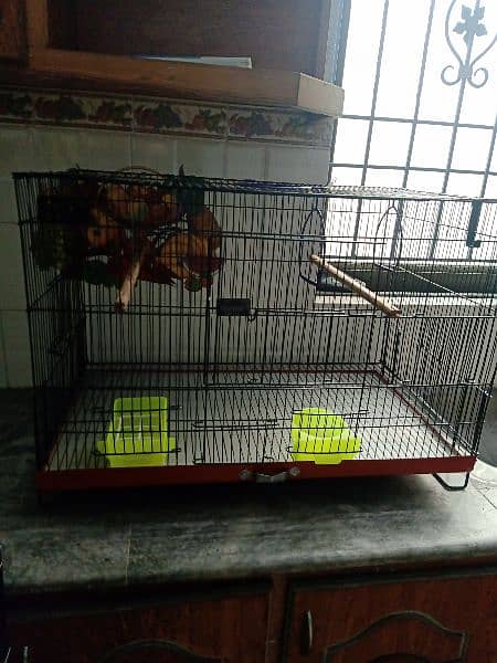 bird cages . 3