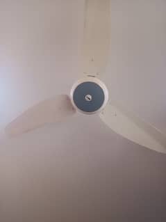 Best condition Ceiling Fans available 8 pieces 0