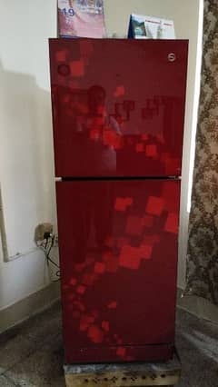 pel glass door refrigerator