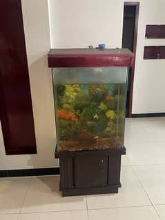Fish Aquarium for sale 0