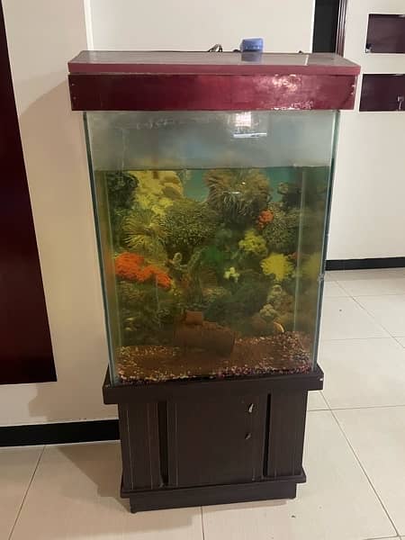 Fish Aquarium for sale 2