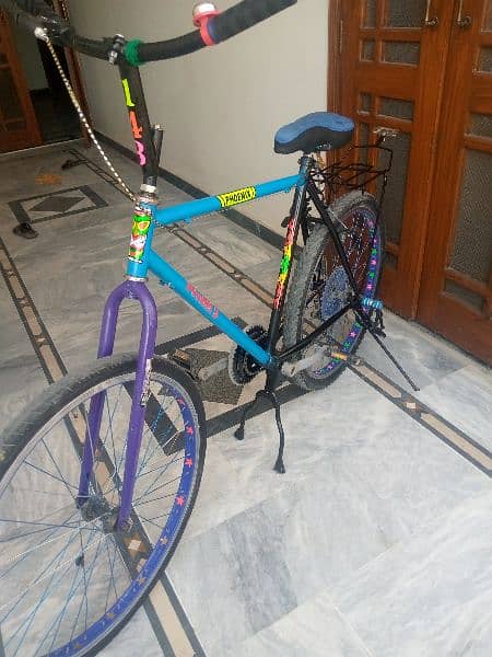 Phoenix bicycle 1