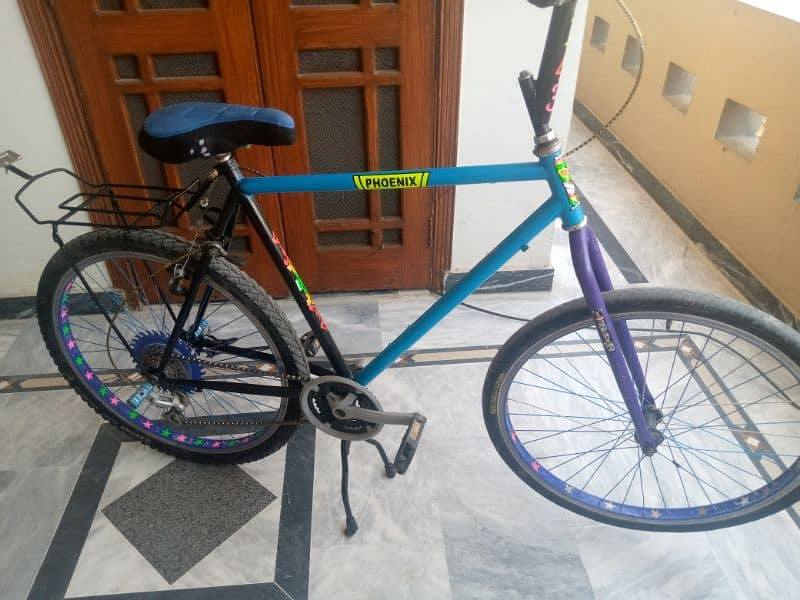 Phoenix bicycle 6