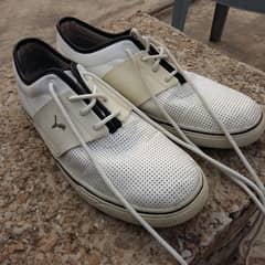 Puma White sneaker shoes