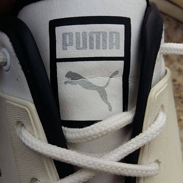 Puma White sneaker shoes 1