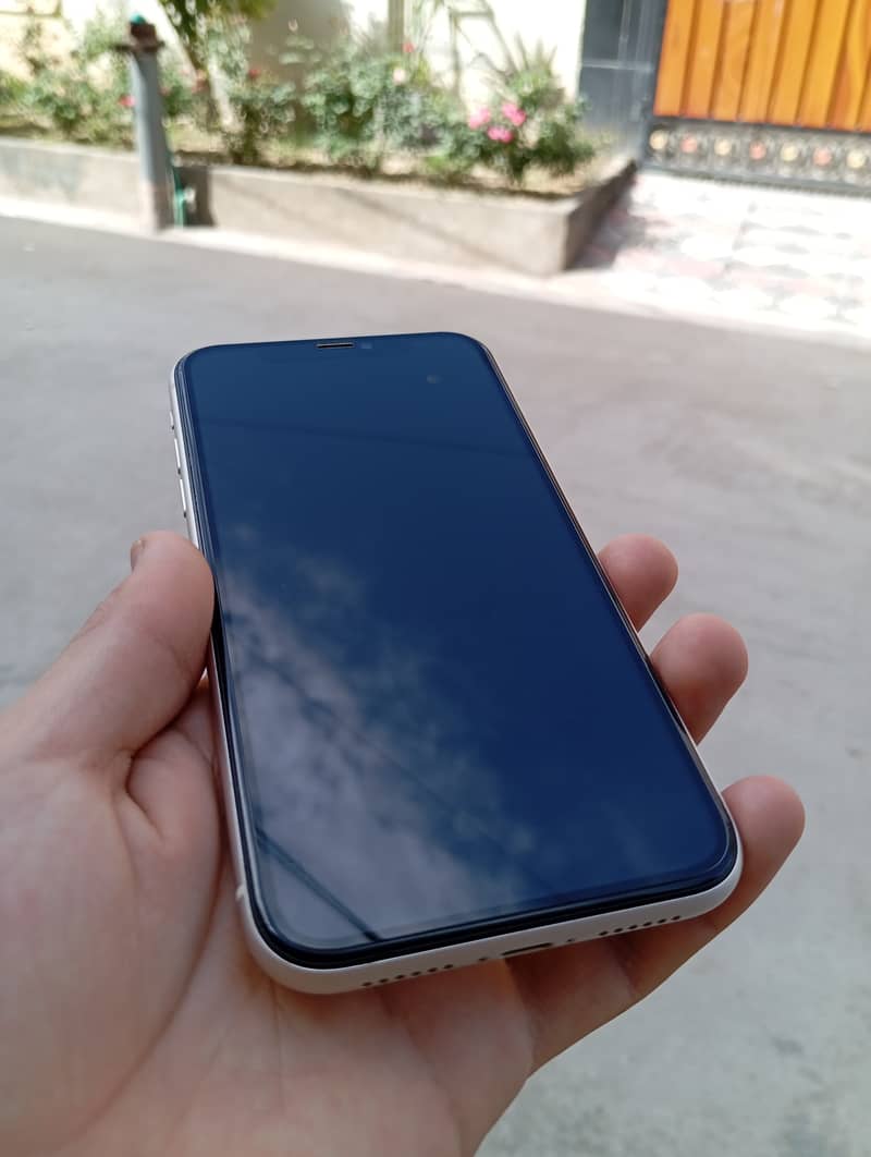 iPhone 11 With 8 Back Covers 6