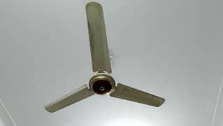 Ceiling Fan 99.99% copper winding. 0