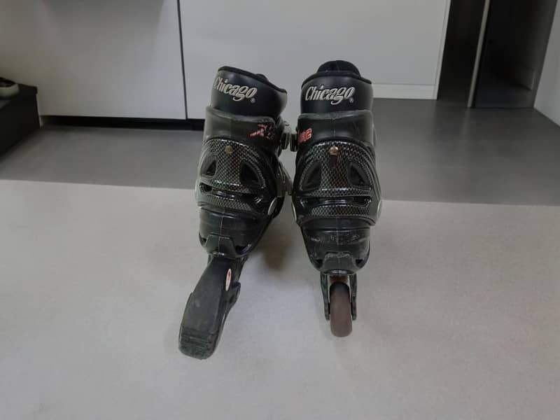 Professional Imported Skates with Bag 2