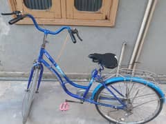 Japanese cycle 0
