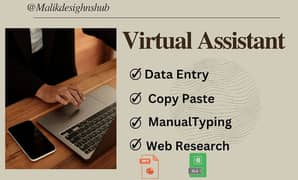 I will be your virtual assistant and so accurate data entry