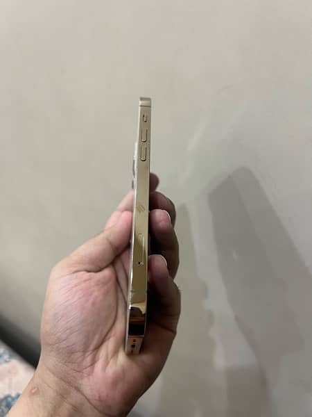 iphone 12 pro 256 pta approved 6