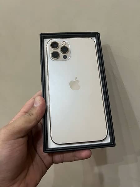 iphone 12 pro 256 pta approved 10