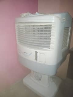 company pak room air cooler