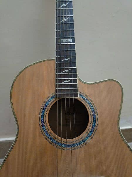 professional Semi Acoustic Guitar BEATTLES MODEL A-2 1