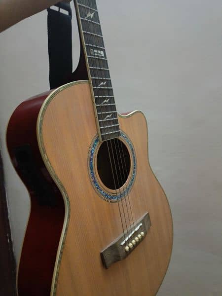 professional Semi Acoustic Guitar BEATTLES MODEL A-2 5