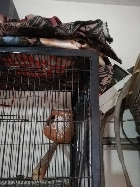 four portion cage for sale 1
