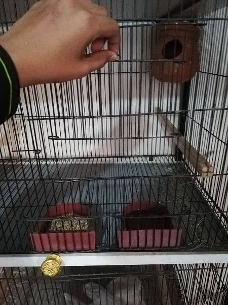 four portion cage for sale 2
