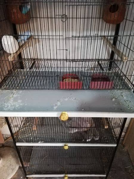 four portion cage for sale 3