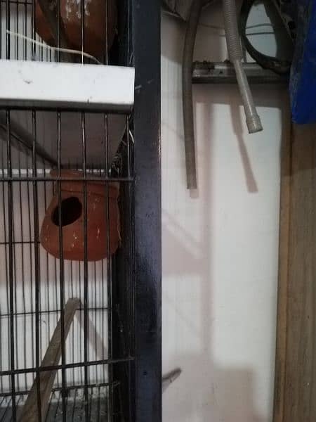 four portion cage for sale 4