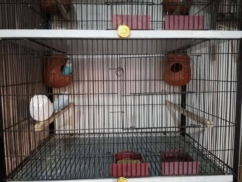 four portion cage for sale 5