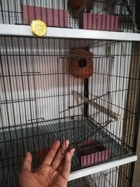 four portion cage for sale 6