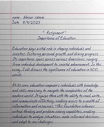 A proffesional handwriter to make your assignment on time. 6