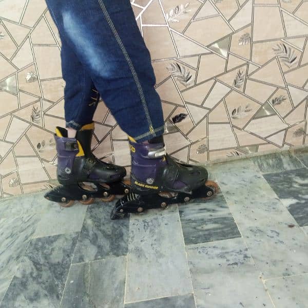 skating shoes 6