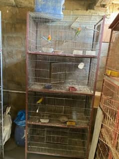 heavy quality cages
