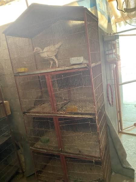 heavy quality cages 2