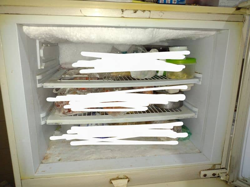 pel refrigerator 10/9 condition 3