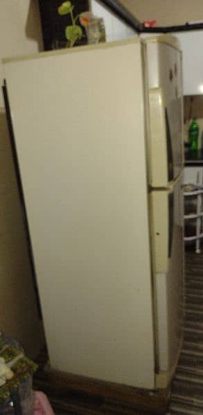 pel refrigerator 10/9 condition 3