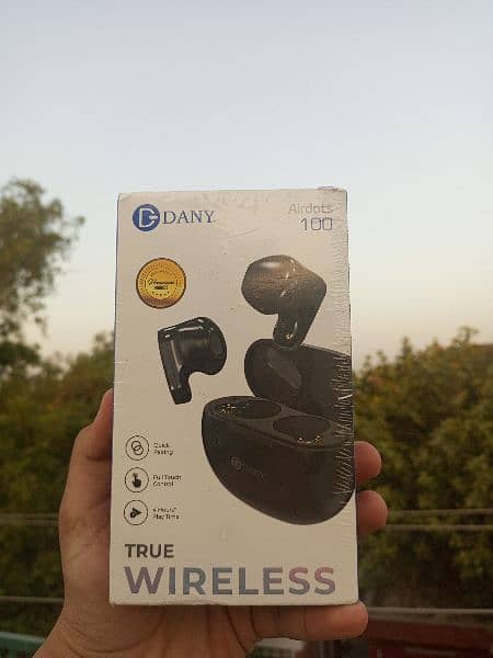Dany Earbuds 100 1