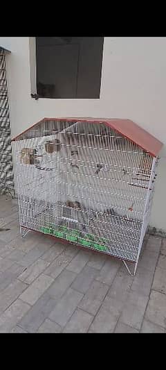 Colony Cage For sale (Urjent)