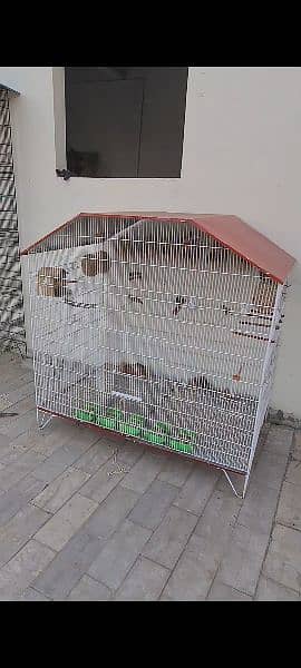finches setup for sale 5