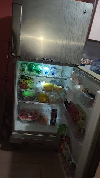 Pel Desire More Refrigerator 1