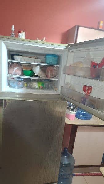 Pel Desire More Refrigerator 2