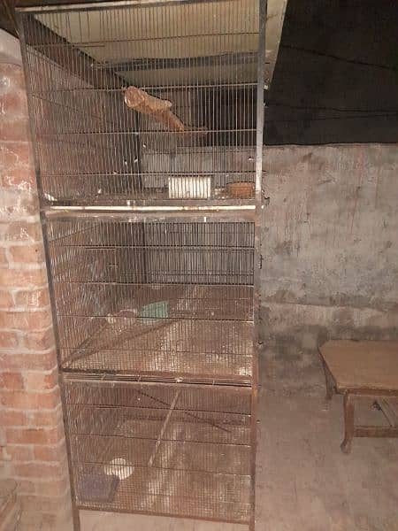 Iron shed and big size cage 4
