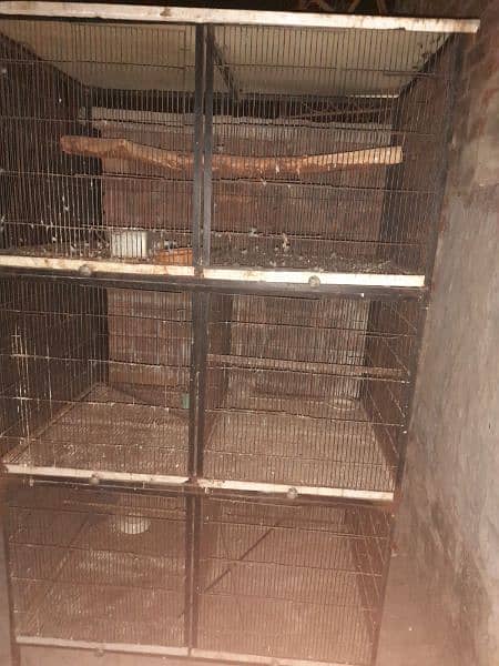 Iron shed and big size cage 6