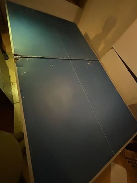 table tennis 5