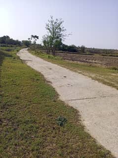 70 Kanal Agriculture Land For Sale In Mangwal 0