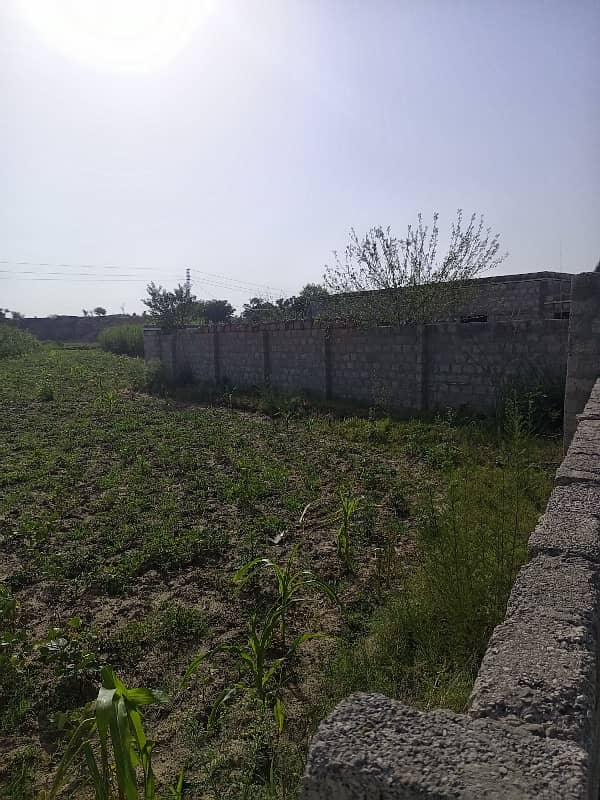 70 Kanal Agriculture Land For Sale In Mangwal 1