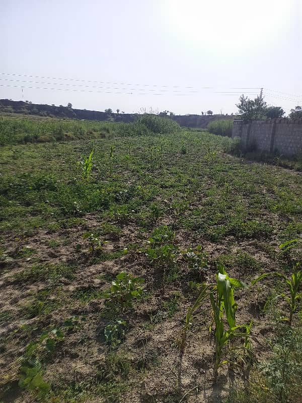 70 Kanal Agriculture Land For Sale In Mangwal 2