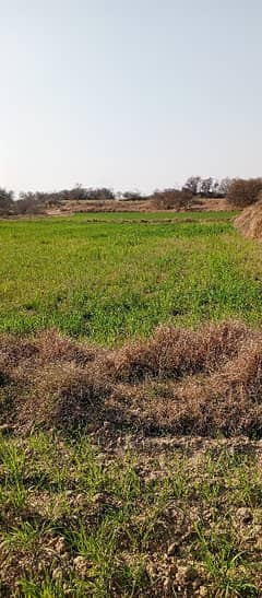 20 Kanal Agriculture Land For Sale In Neela Dullah